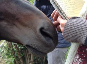 12167320_10206804114373918_350521340_n