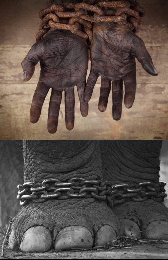 slavery_comparison