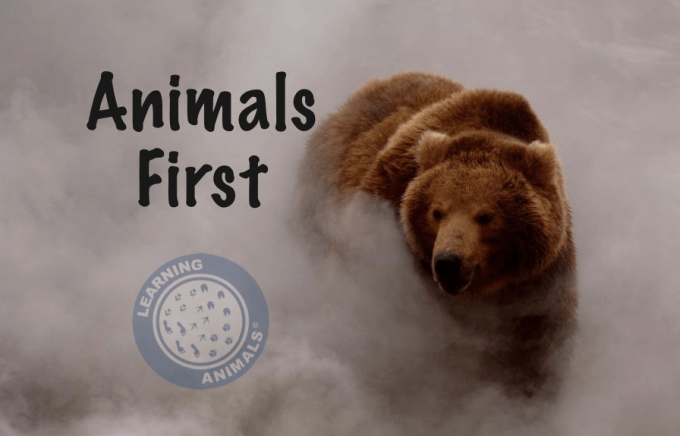 Schermata 2017-07-27 alle 19.40.08